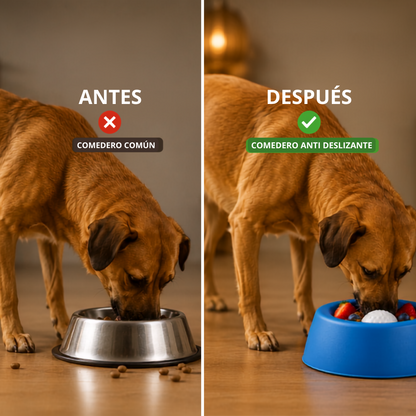 Comedero Para Mascotas Antideslizantes